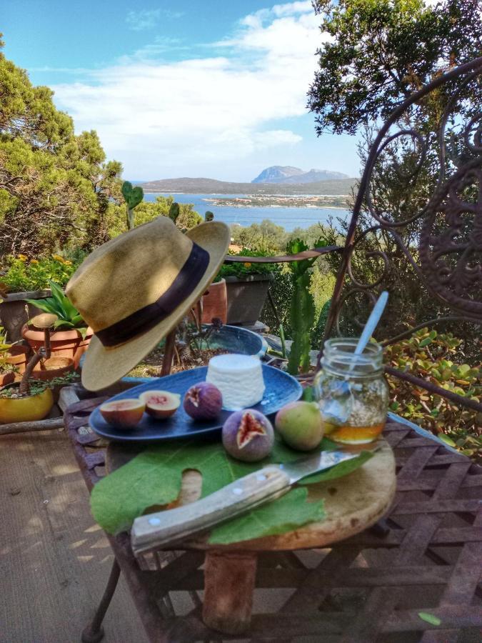 Villa Khepri Porto Rotondo Luaran gambar