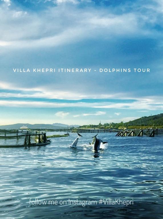 Villa Khepri Porto Rotondo Luaran gambar